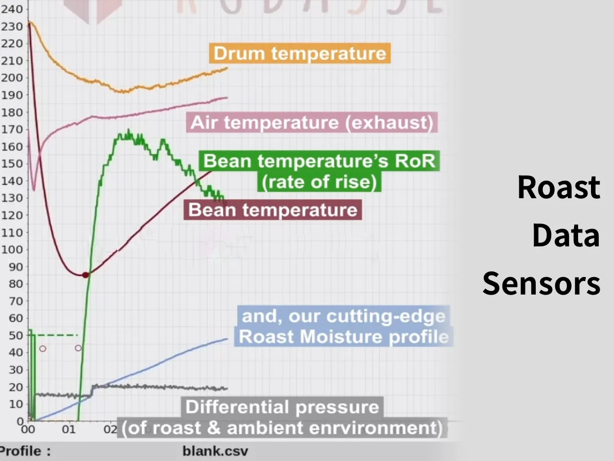 2025newweb Sensor Groups