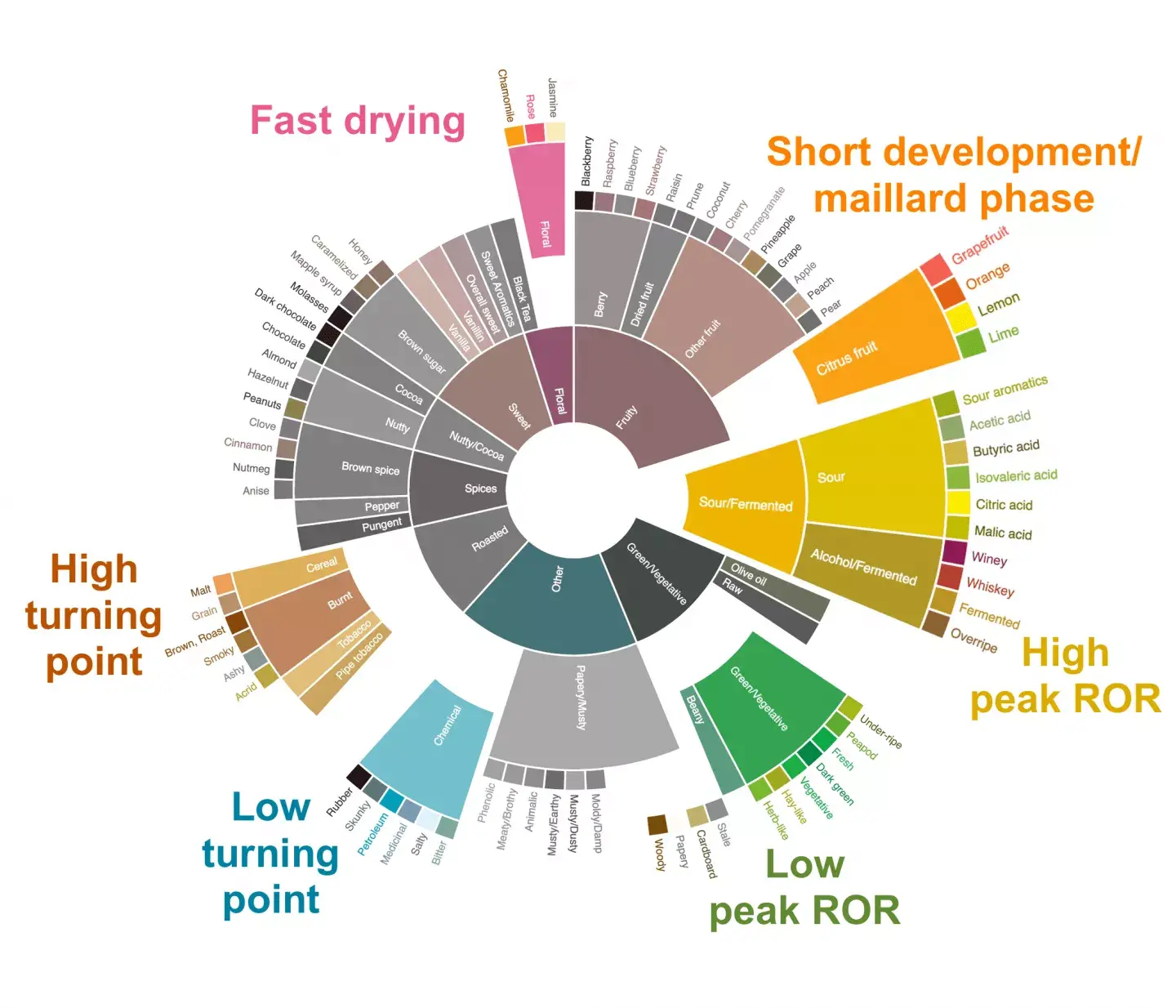 Segmented Flavorwheel