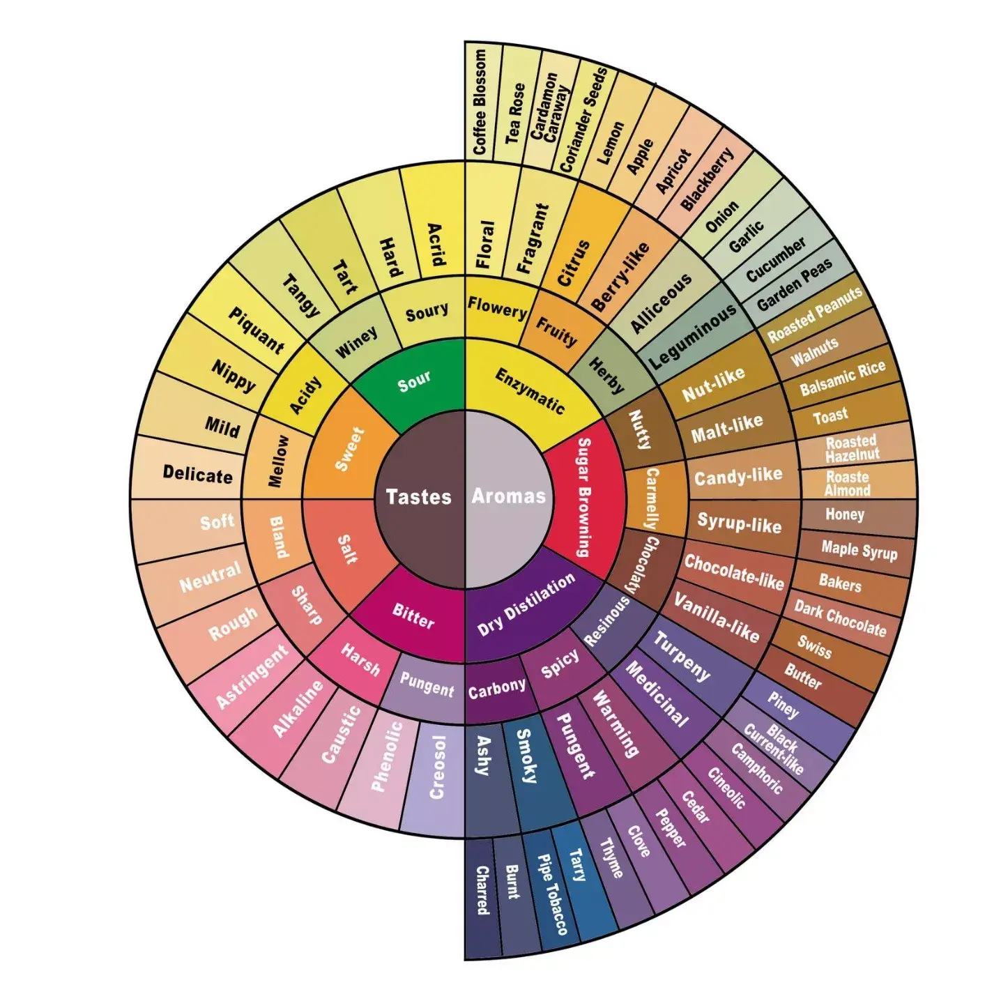 Flavorwheel Test 90quality