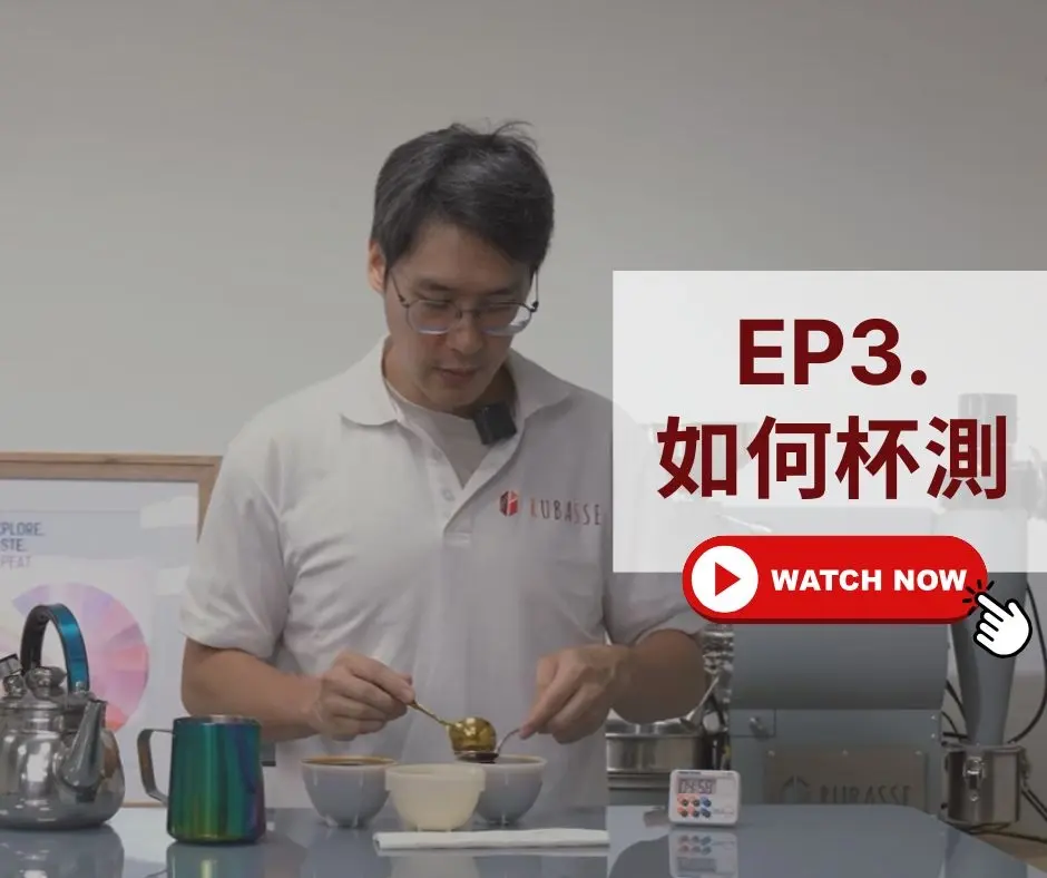 Zh Blog 21