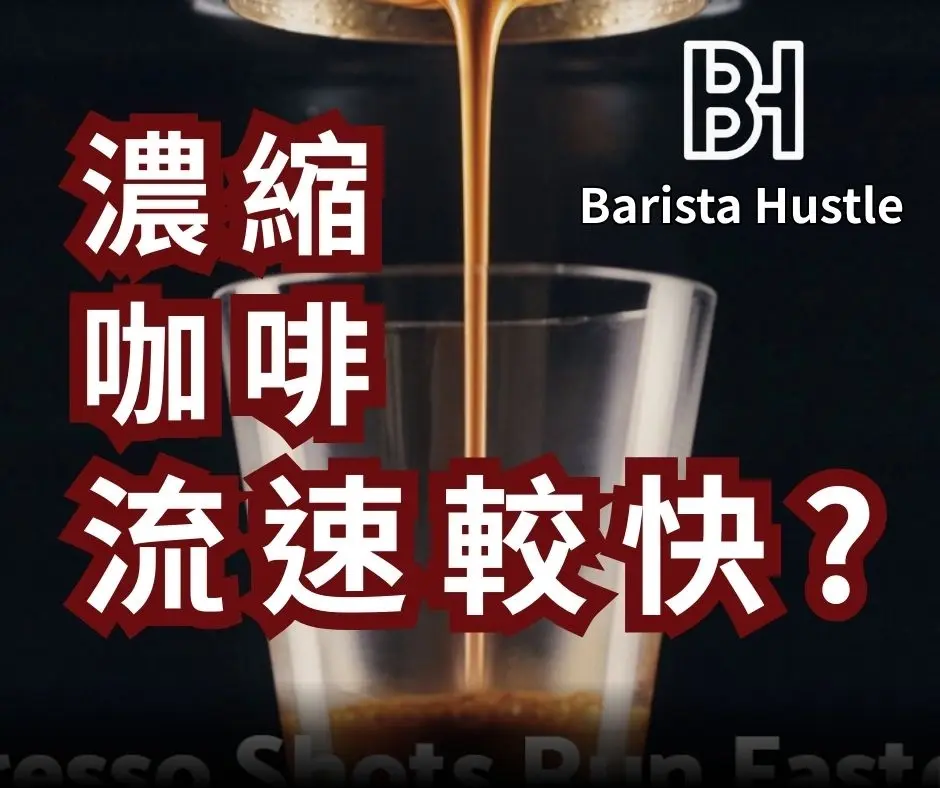 Zh Blog 33