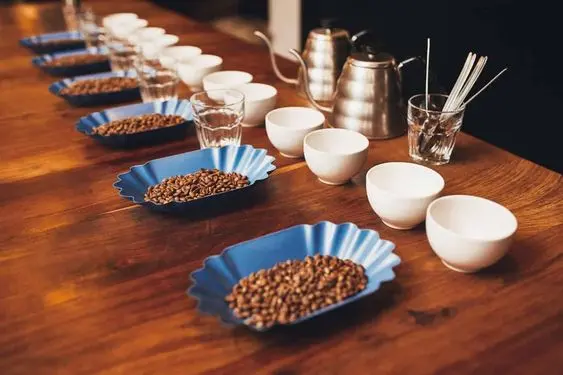 Cupping Class Cupping Pic