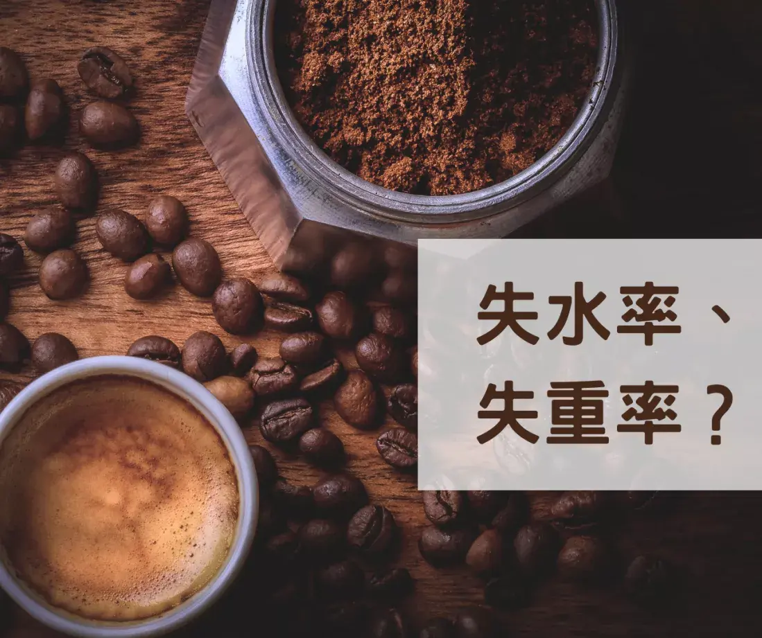 Zh Blog 5