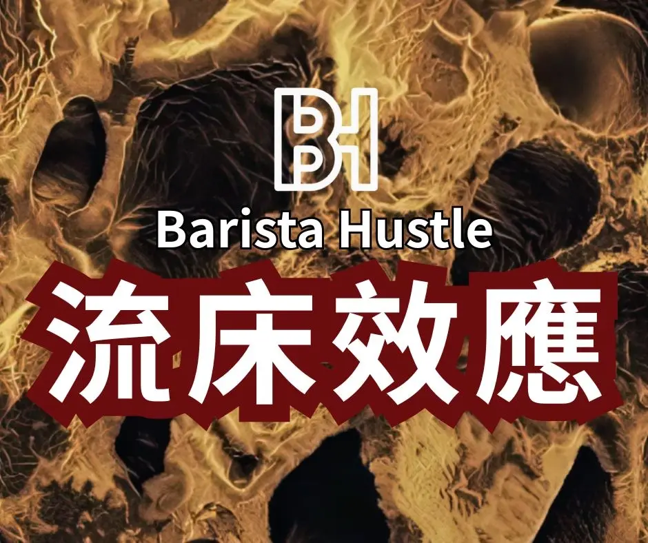 Zh Blog 29