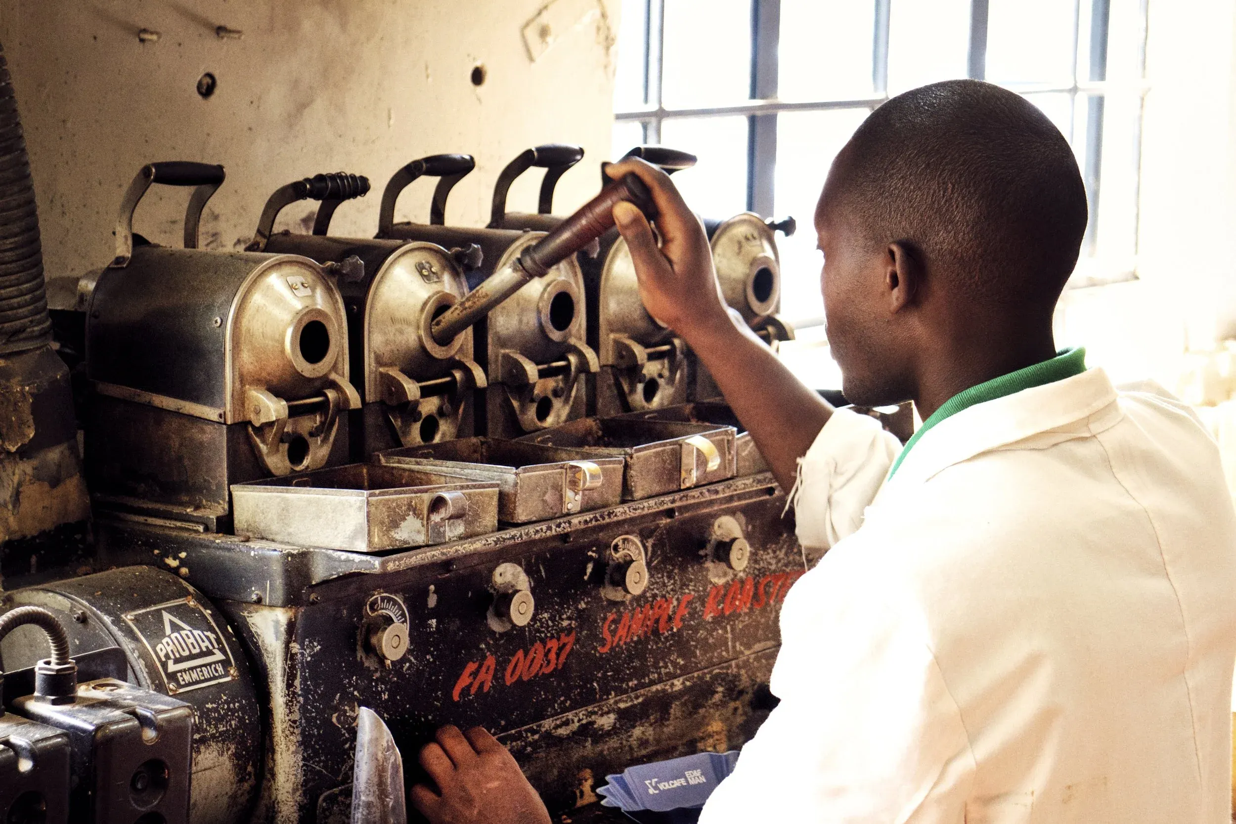 Sample Roasting Probat Brz